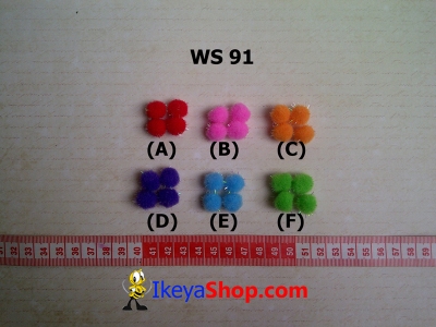 WS 91  large2